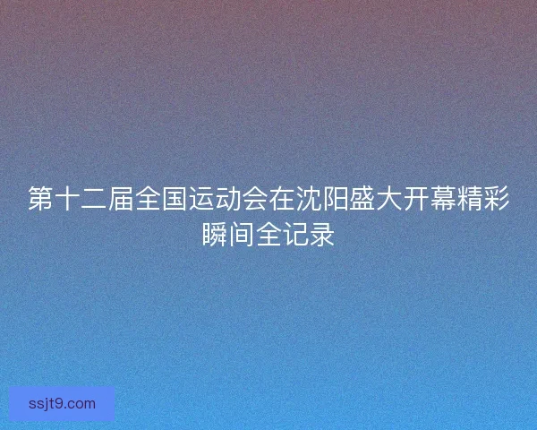 第十二届全国运动会在沈阳盛大开幕精彩瞬间全记录