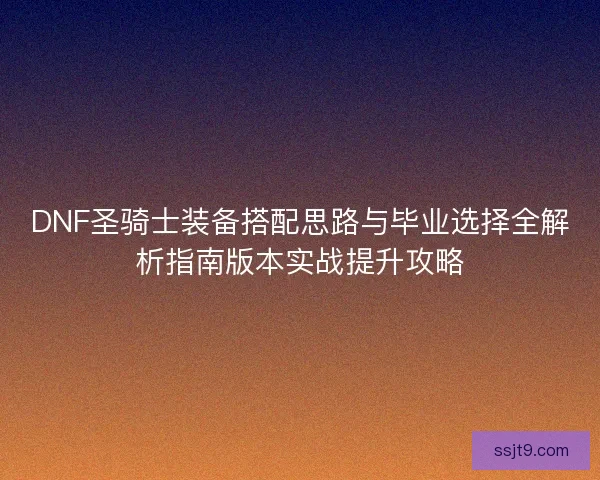 DNF圣骑士装备搭配思路与毕业选择全解析指南版本实战提升攻略